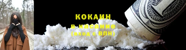 дмт Краснослободск