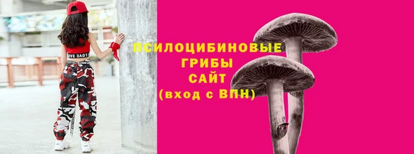 дмт Краснослободск