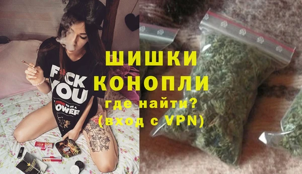 дмт Краснослободск