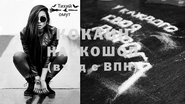 дмт Краснослободск