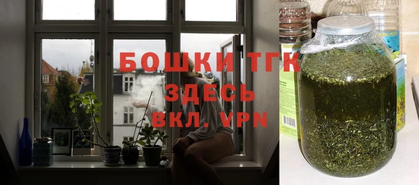 дмт Краснослободск